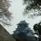 DSCF1651
