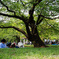 代々木公園