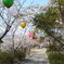 2012sakurazaka  
