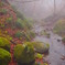 201204 御岳山