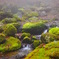 201204 御岳山