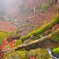 201204 御岳山