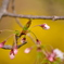 未来への希望