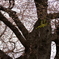 photo_1786333