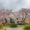 東北大学片平キャンパス