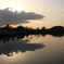 just another reflection