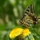 20120429018T