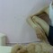 DSC00262
