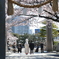 ４月の花嫁