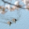 カモと桜