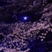 幻夜