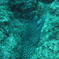 P1080549