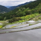 坂折の棚田