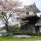 岩村の春