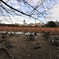 上野公園