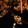 夜桜