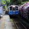 高野川駅