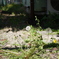 20120505-001