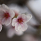 20120402-01