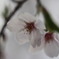 20120412-02