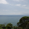_DSC0335