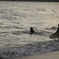 _DSC0350