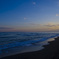 _DSC0351
