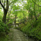 常寂光寺へ