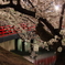 宵桜