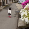 つつじの路地