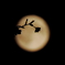 特別な夜に