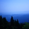 silence from the top