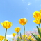 青空に向かってⅡ