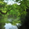 和の雰囲気