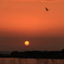 夕日