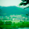 居場所