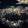 桜城宴