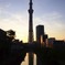 Sky Tree