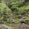 緑の庭園