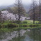 朝の公園 