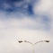 あの日の、空。
