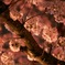 夜桜