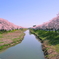 SAKURA River
