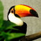 まんまるおめめ　