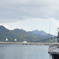 トリと軍艦