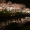 夜桜　上田城