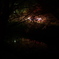 夜桜　上田城