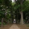 指扇氷川神社参道