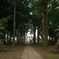 指扇氷川神社参道2