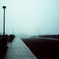 Mist